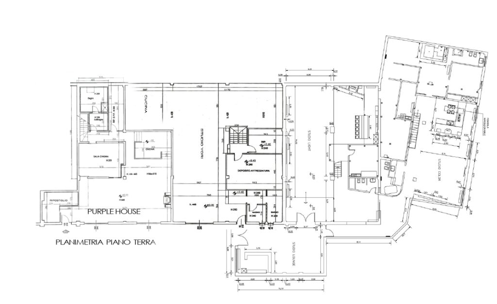 Pianta-CP41