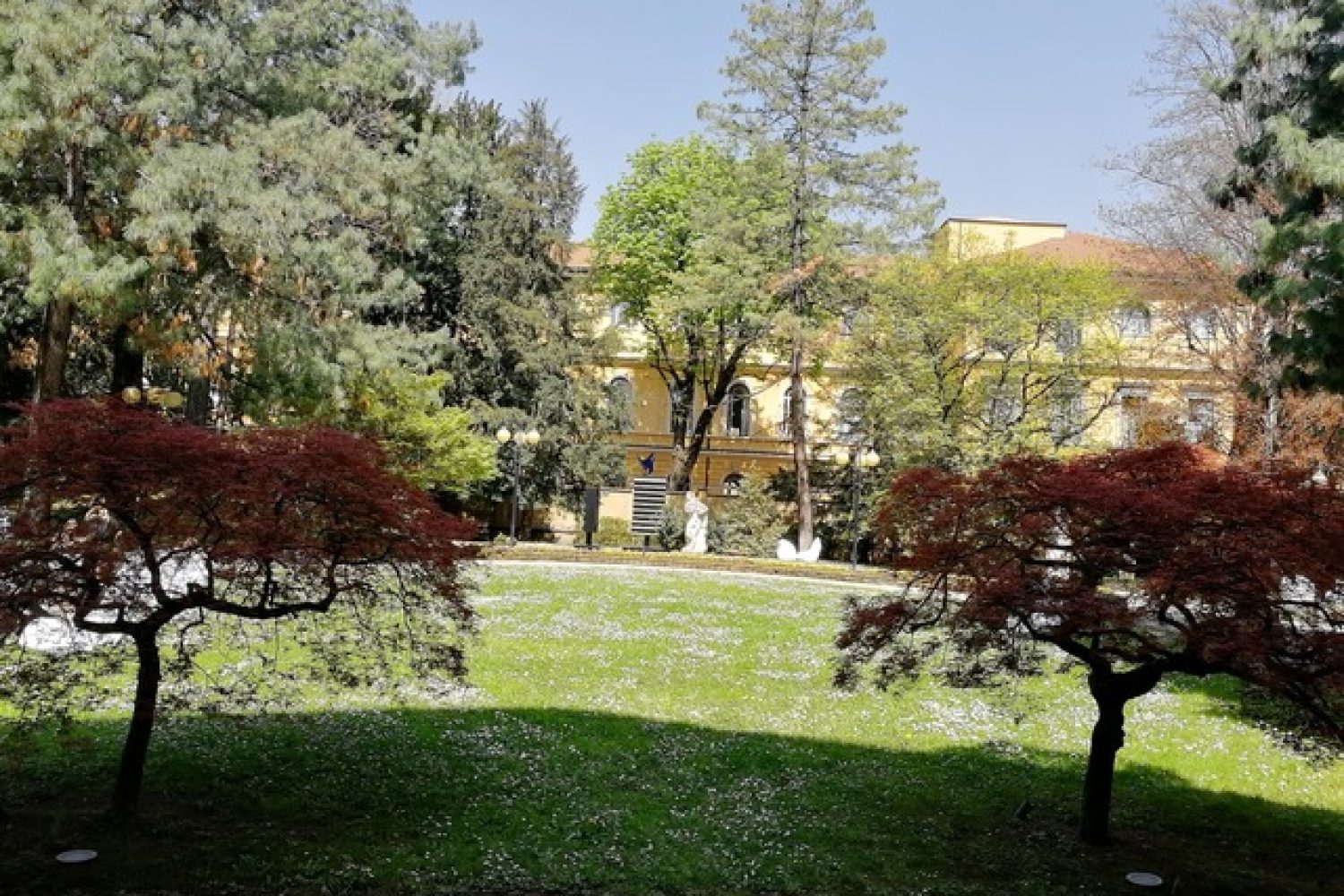 ISIMBARDI Giardino