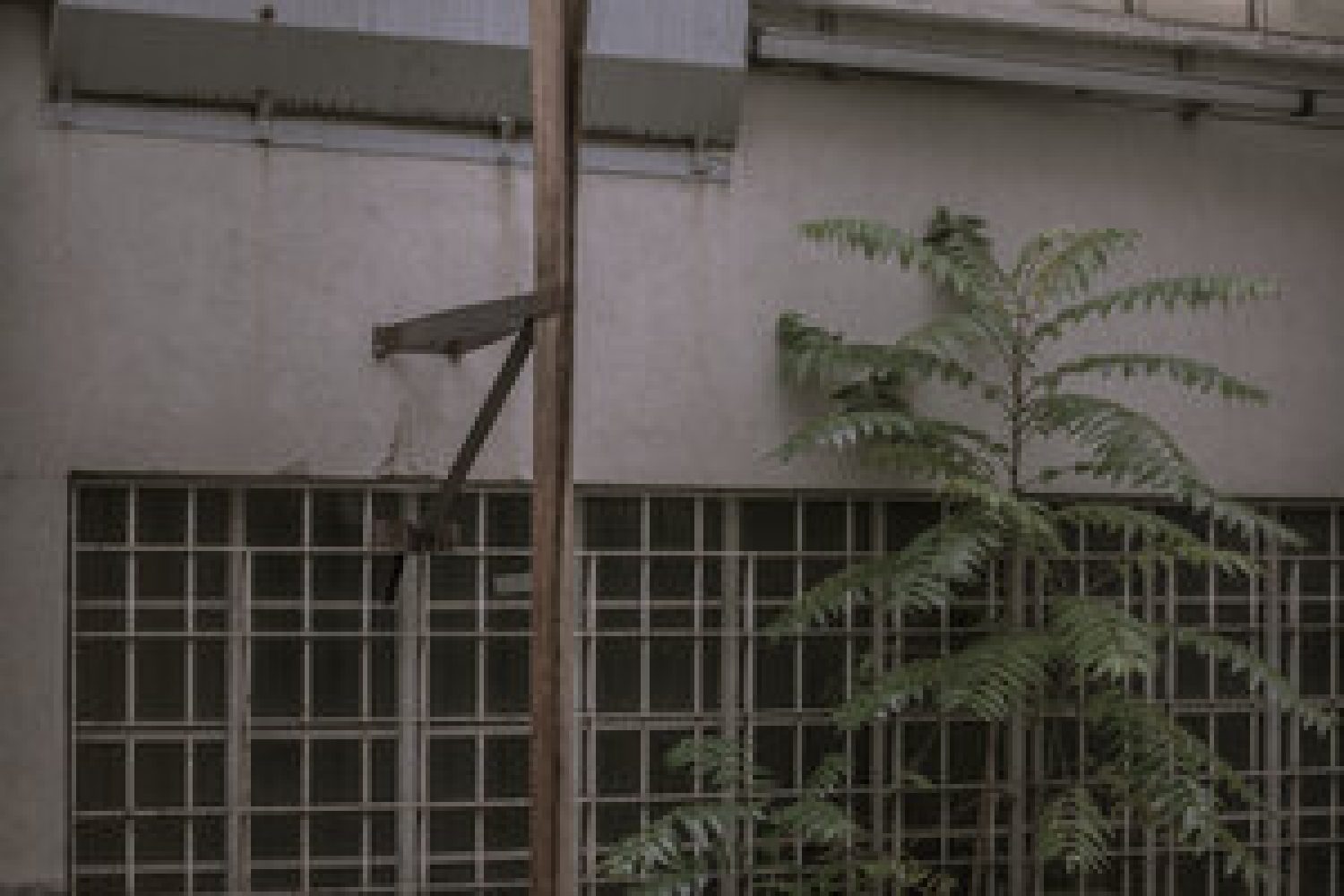 SPAZIO SASSETTI (14)